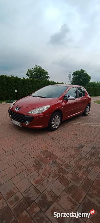 Peugeot 307 20 benzyna 140 153 przebieg 4/5 wielkopolskie Rychwał