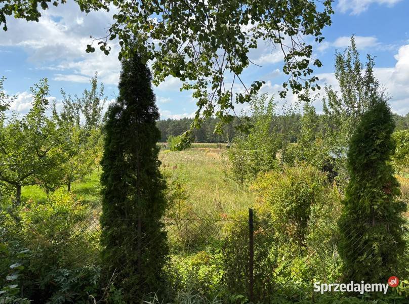 Ogródek działkowy 500 m2 w Trynosach 20 000 Trynosy-Osiedle sprzedam