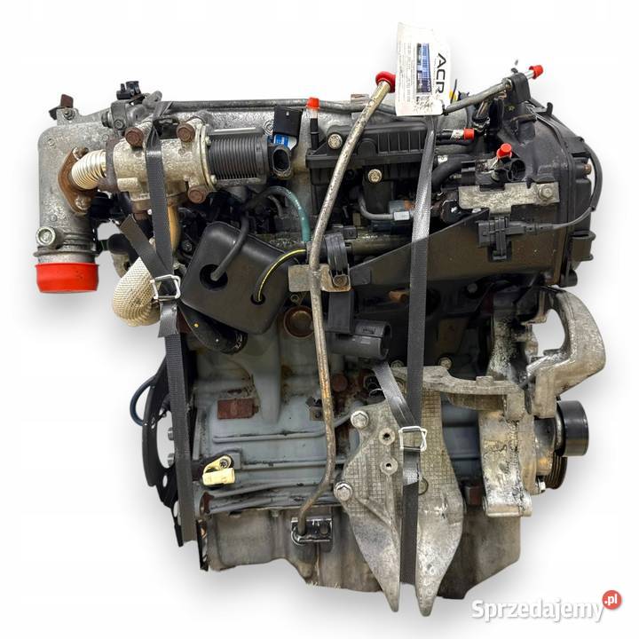 SILNIK 223B1000 Fiat Doblo 19 JTD MULTIJET 8V osobowe Silniki kompletne lubelskie Chełm