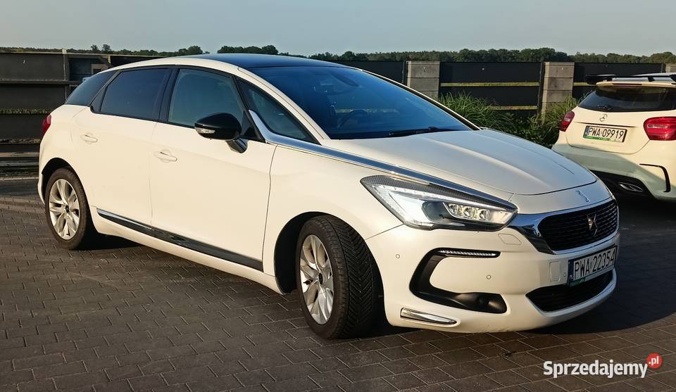 Citroen ds5 biały Gołańcz