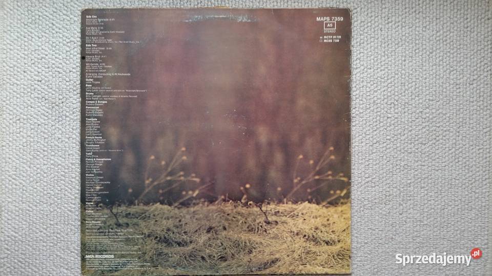 Longplay Whirlwinds DEODATO 1974 MCA Records Puławy