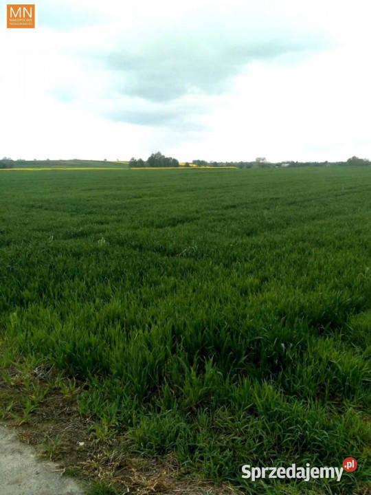 sprzedaży gruntu Piotrowice 1690m2 sprzedam