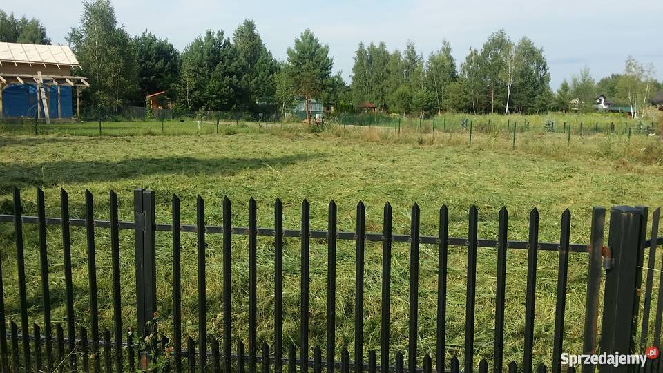 Sprzedam działkę ROD Rynia sprzedam