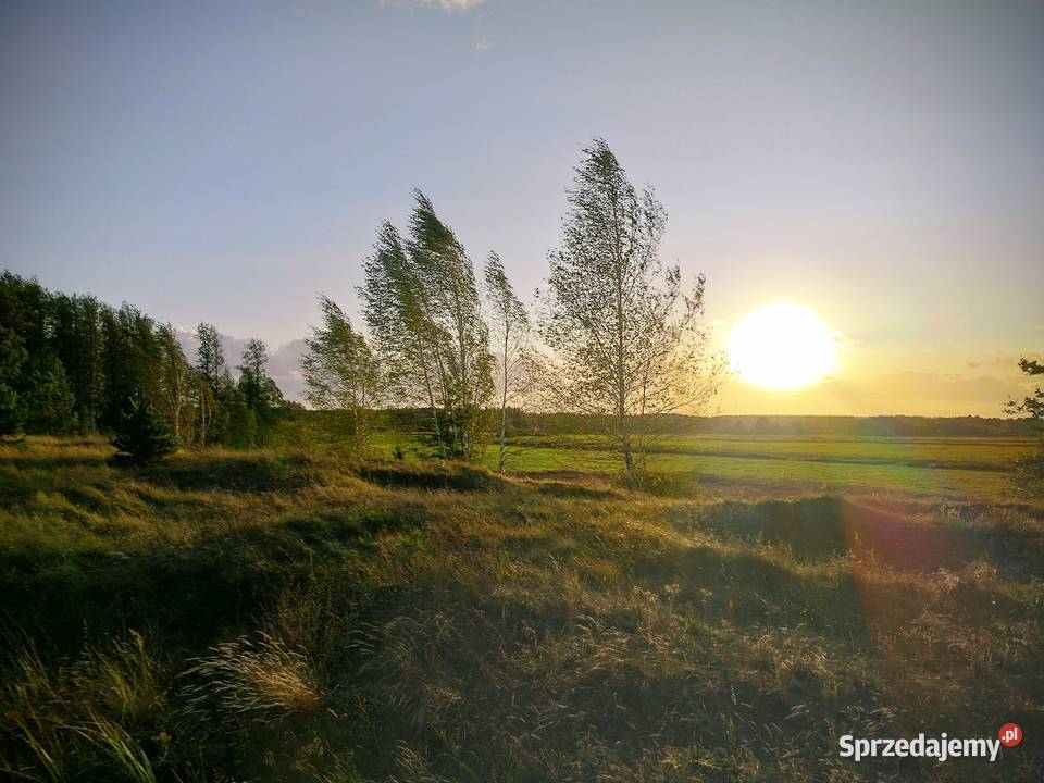 Działka 5000 m warunki zabudowy na halę kontener 5000m2 sprzedam