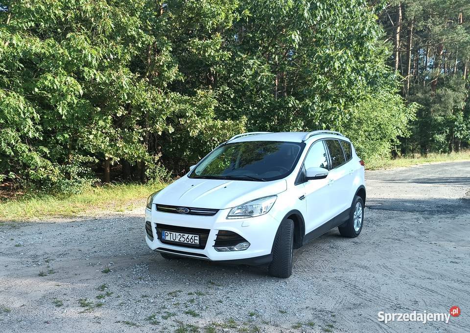 Sprzedam forda Kuga wielkopolskie Russocice