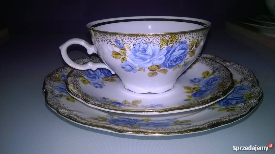 wspaniałe róże winterlinga Katowice sprzedam