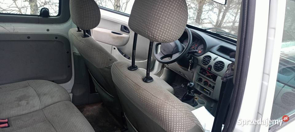 Renault Kangoo wielkopolskie Świętne