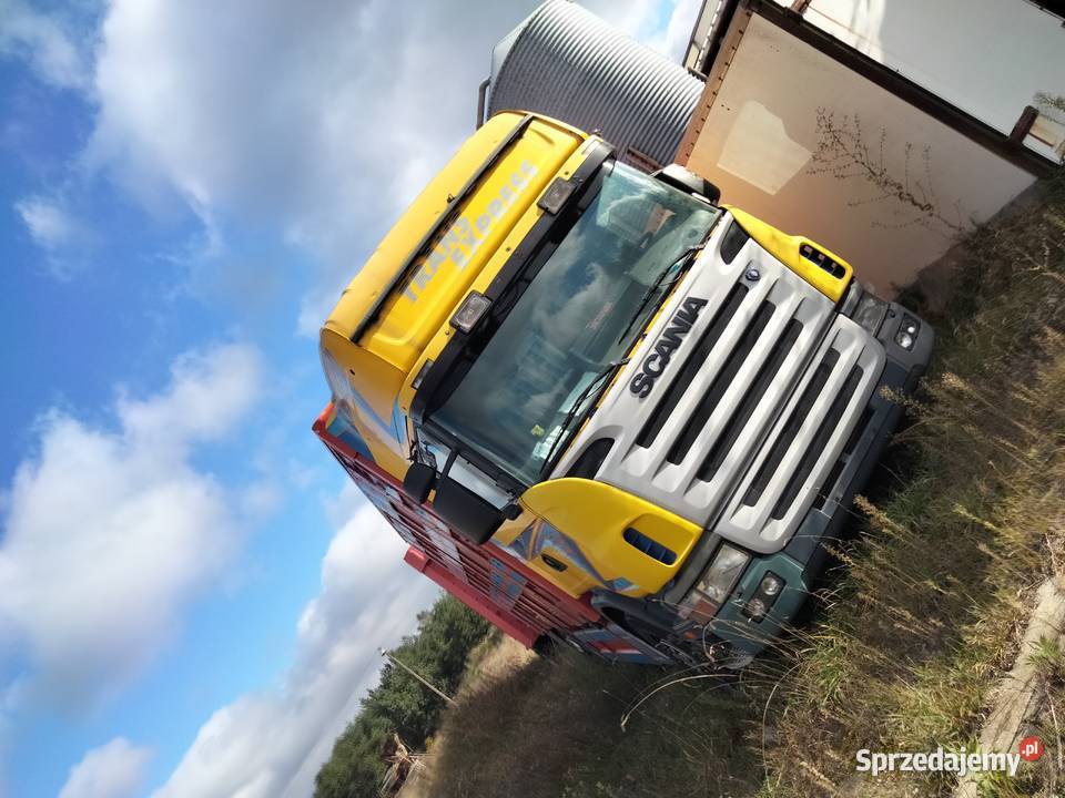 Scania V8 R480 Zestaw do przewozu żywca 1KM Zgierz