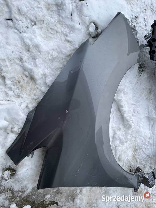 Nissan leaf Błotnik lewy prawy Poznań