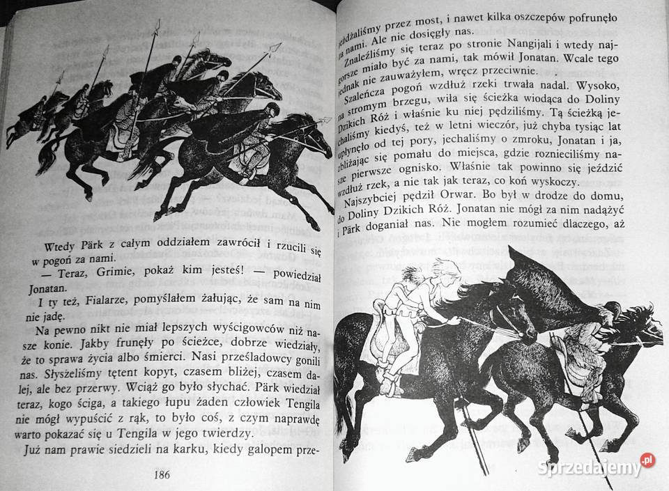 Bracia Lwie Serce Astrid Lindgren Rok wydania 1988 Chełm sprzedam