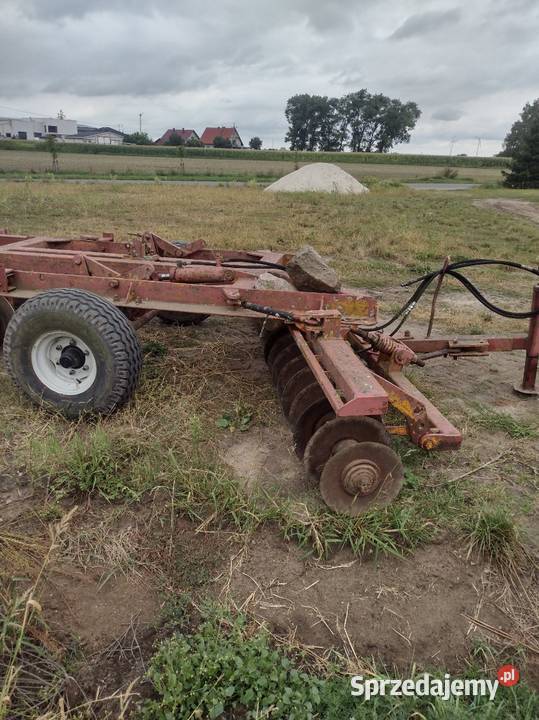 Brona talerzowa Jastrzębie