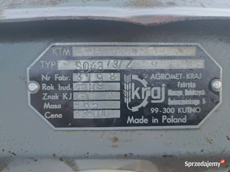 Siewnik poznaniak Drzewica