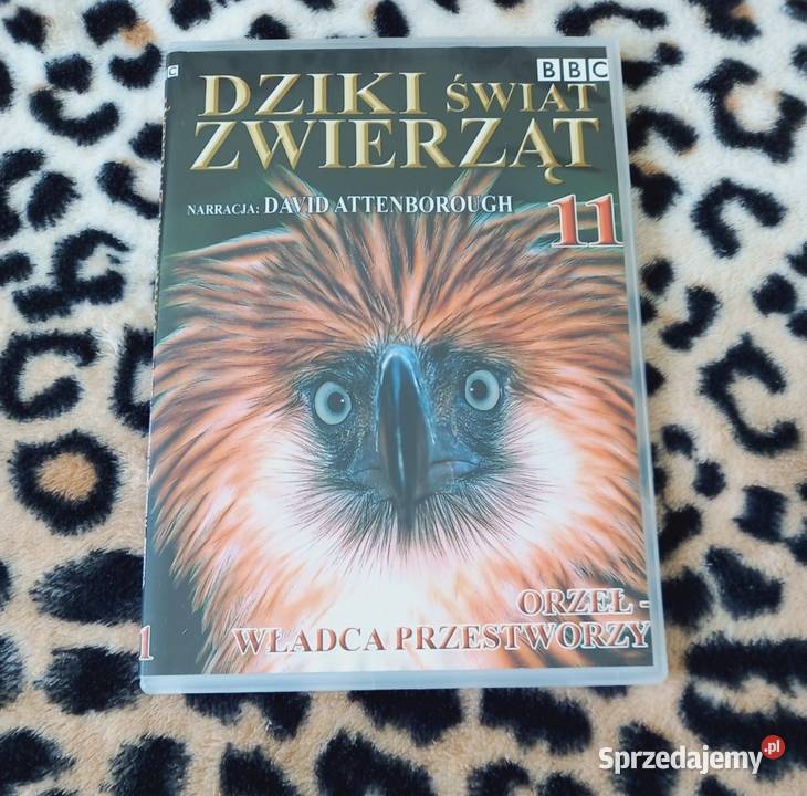 Dziki świat zwierząt BBC Lew Goryl Orka i inne Kraków sprzedam
