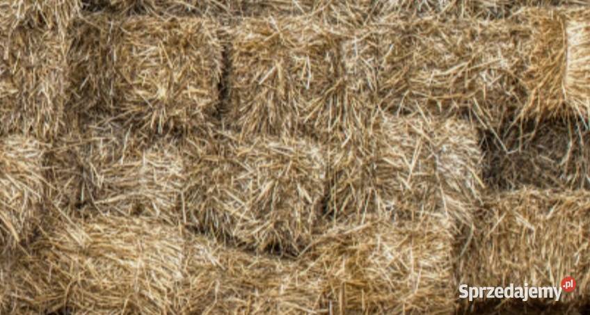 Słoma w kostkach Dowóz Ciuki paczki izolacja podlaskie Bielsk Podlaski