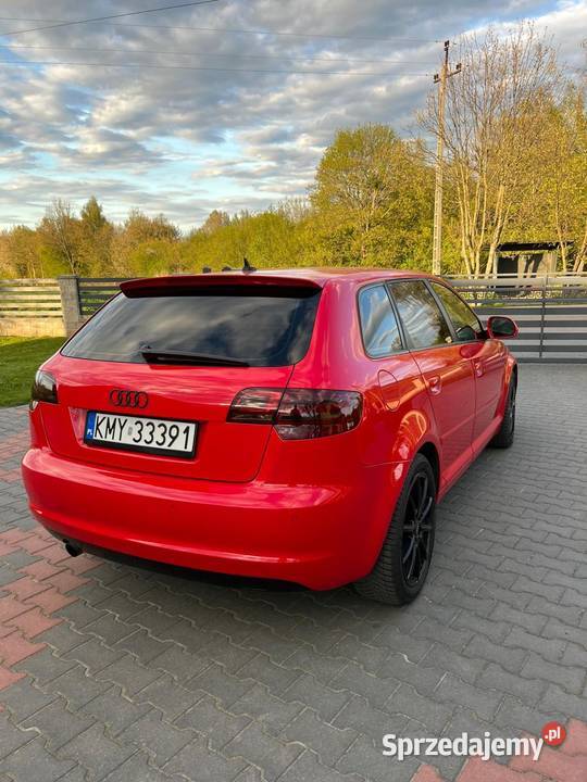 Audi A3 8P 2010 lubelskie Wojsławice