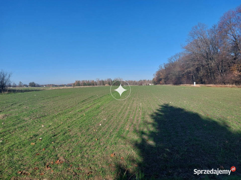 Działki budowlane Styrzyniec k Białej Podlaskiej asfalt Nieruchomości sprzedam