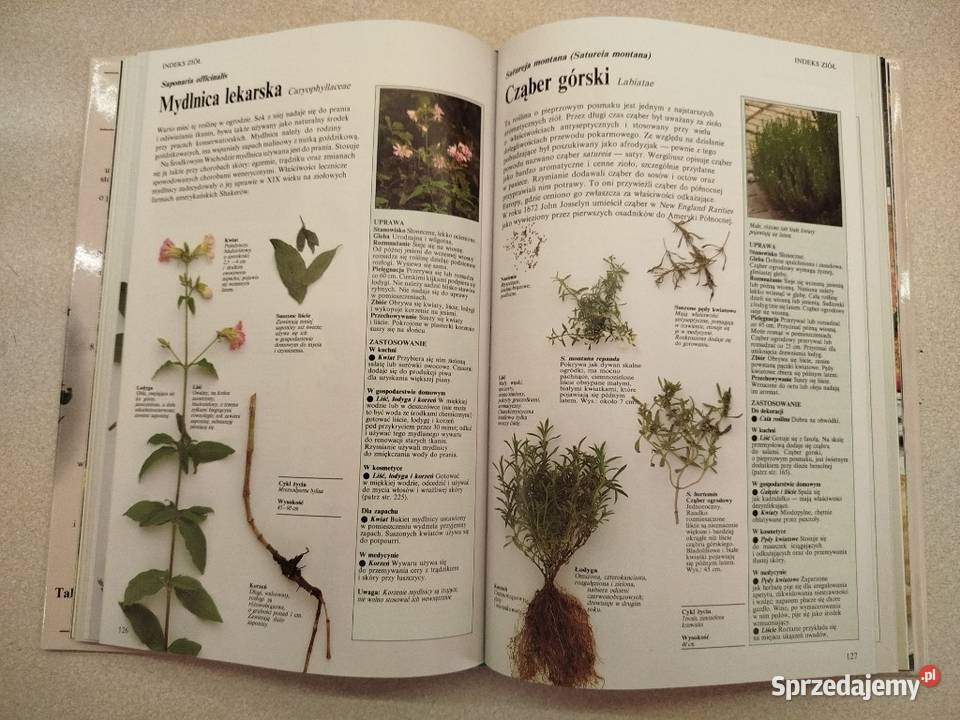 Wielka księga ziół Lesley Bremness encyklopedie, słowniki, leksykony