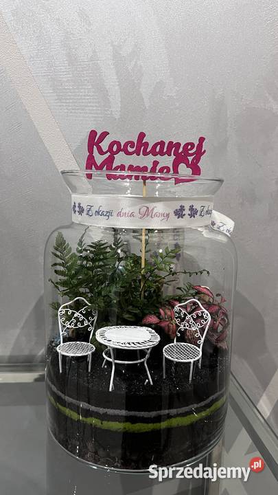 Las w szkle GOTOWA KOMPOZYCJA PREZENT Z dolnośląskie Oborniki Śląskie