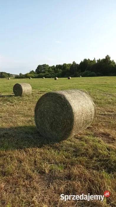 Siano pierwszy pokos tegoroczne Trawy, słoma