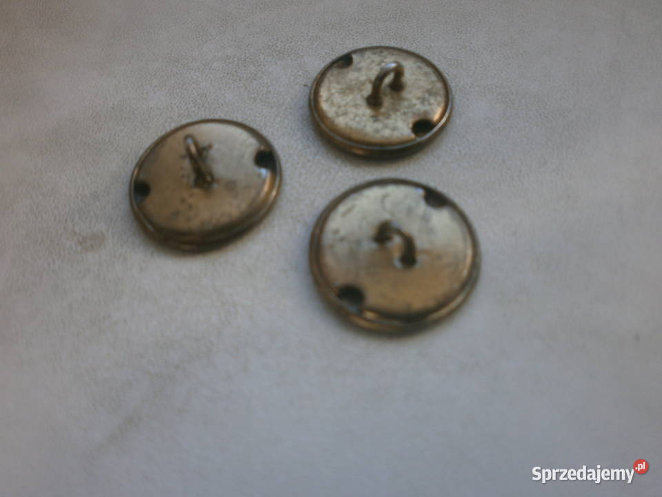 ZYGMUNT WAZA guziki Zielona Góra