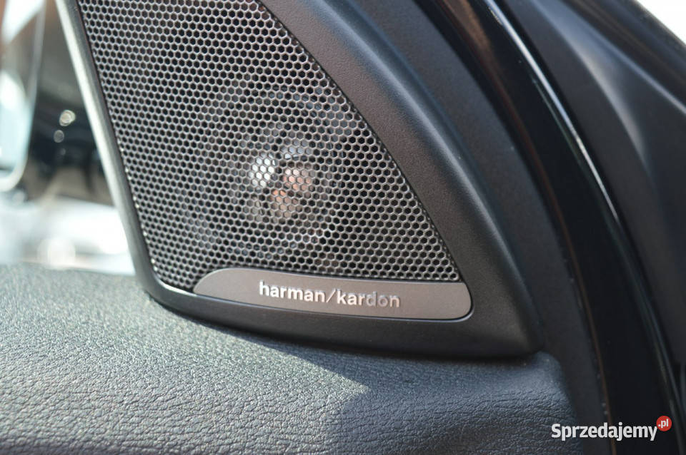 BMW X2 SDrive 20i MSport Automat Fabryczny 178KM Hrubieszów sprzedam