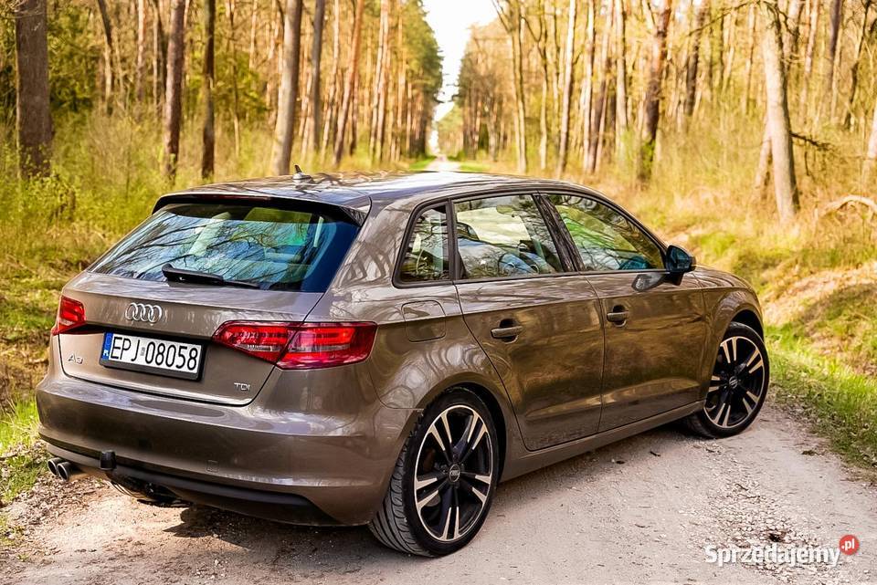 Audi A3 8V 202HP łódzkie Jeżów