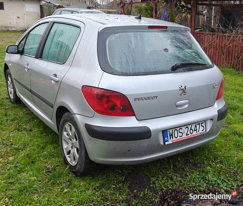 Peugeot 307 16 benzyna sprawna klimatyzacja Lucynów sprzedam