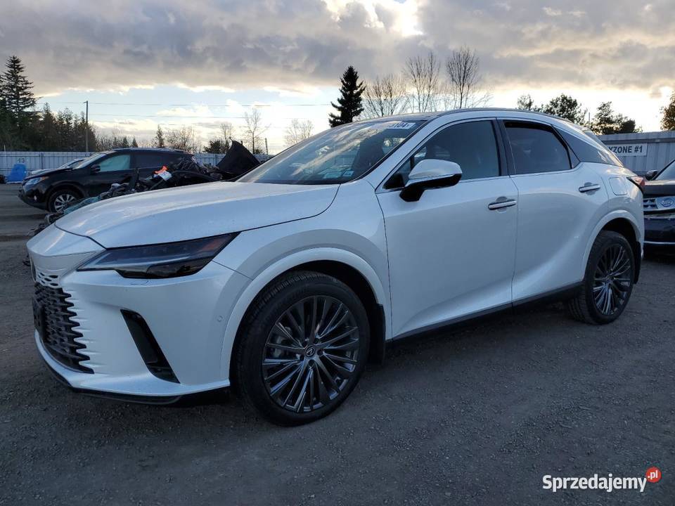 LEXUS RX 350 BASE 2023 Rok produkcji 2023 Bełchatów