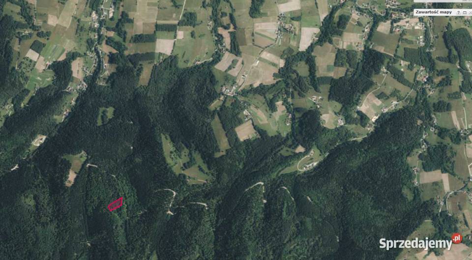 Sprzedam Las Przysietnica Nieruchomości
