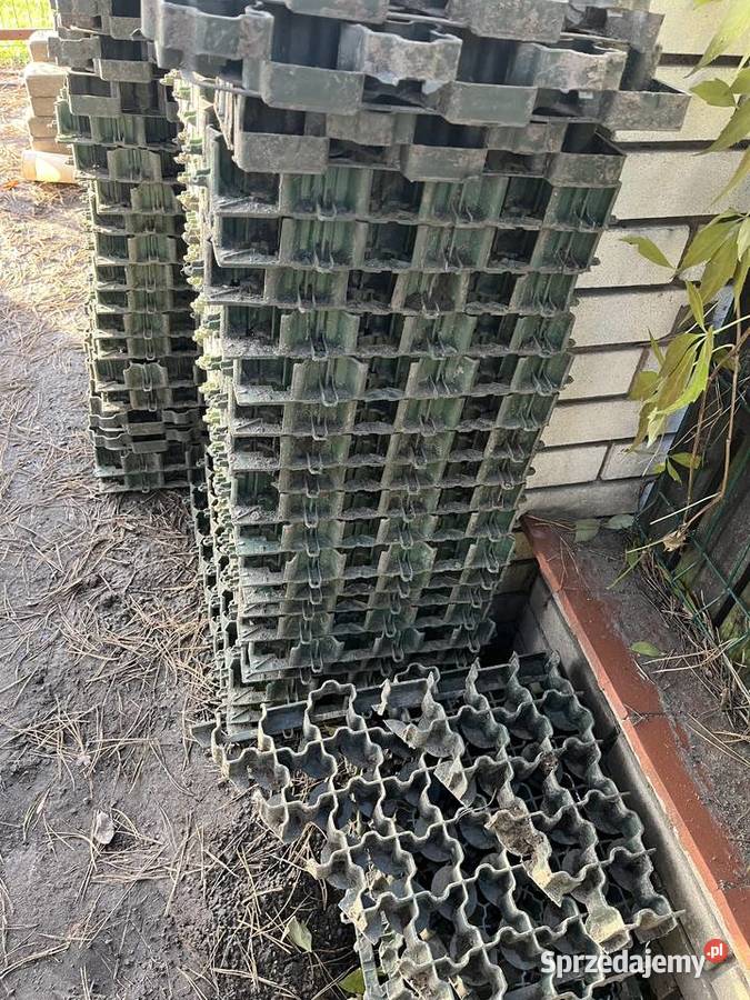 Geokratka Kratka trawnikowa ogrodowa Geokraty mazowieckie Ożarów Mazowiecki