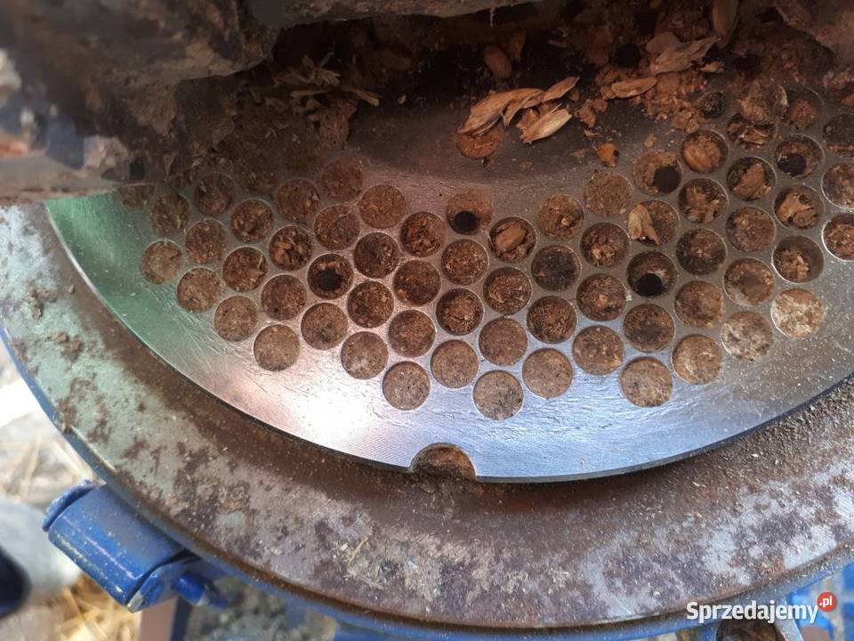 Peleciarka Granulator 11 kW Rolnictwo Kujawy