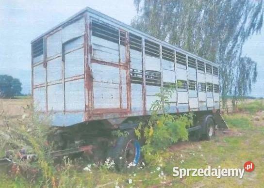 Syndyk sprzeda przyczepę ciężarową do przewozu Rybno