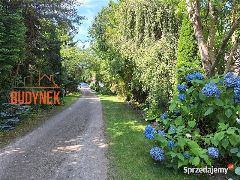 Obiekt Zakrzewo 9500zł/m2