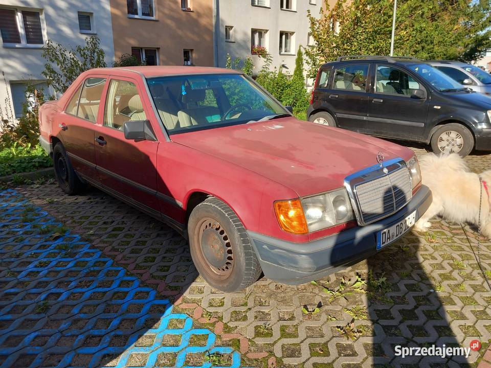 Mercedes 124 W124 warmińsko-mazurskie Elbląg