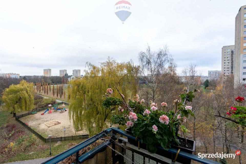 Os Zwycięstwa rodziny studentów inwestycja piwnica Poznań