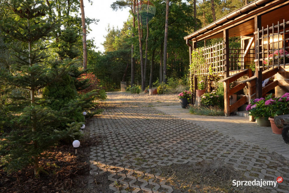 Działka leśna z domkiem na sprzedaż mazowieckie Rozniszew