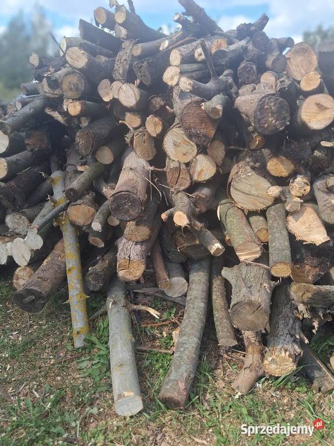 drewno sosnowe suszki i mix wierzba klon Pozostałe