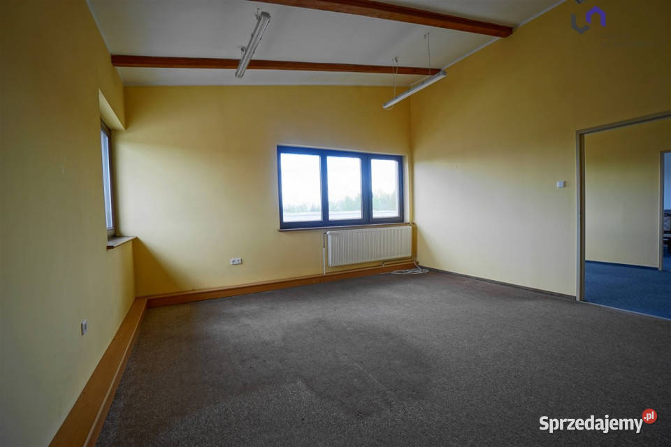 wynajmu lokalu Siemianowice Śląskie 7024m2 śląskie