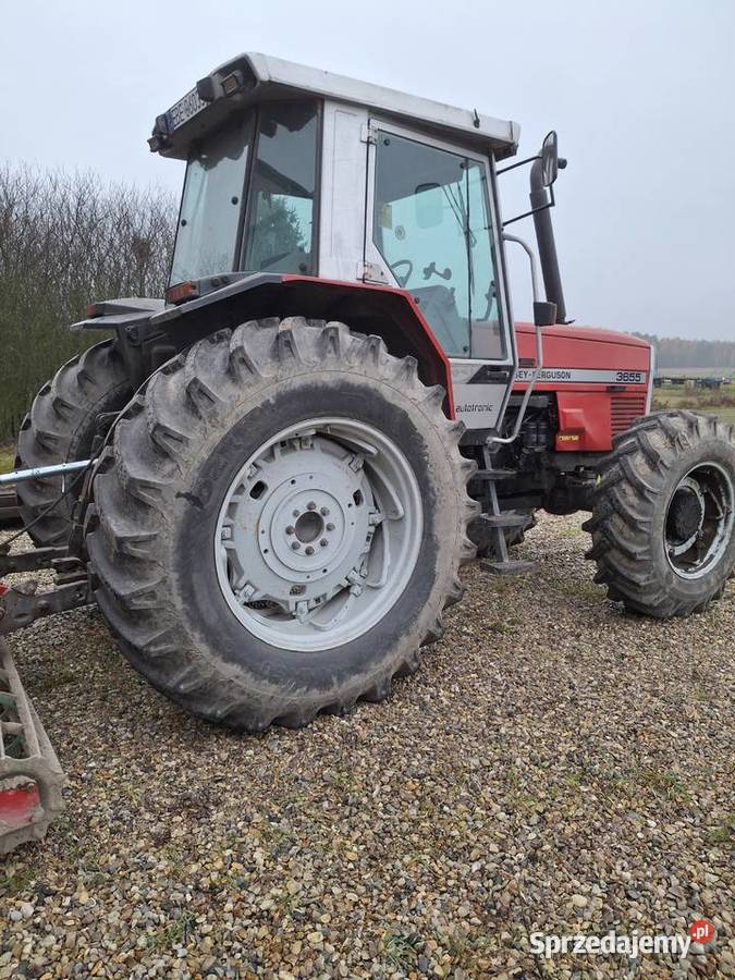 Massey Ferguson 3655 Massey Ferguson Zelów sprzedam