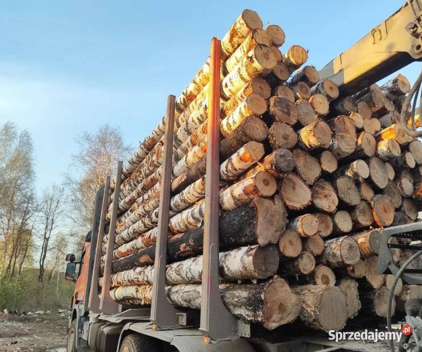 Różne rodzaje drewna opałowegokominkowego Borki Opał Borki Wielkie