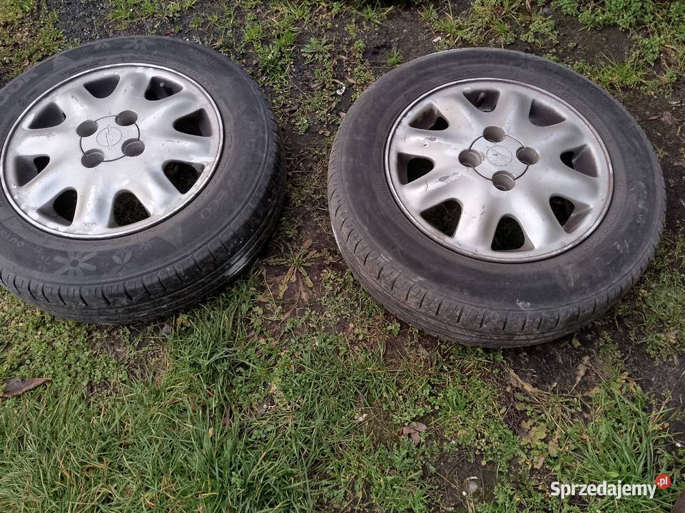 Kłos letnie 17570R14 śląskie Myszków