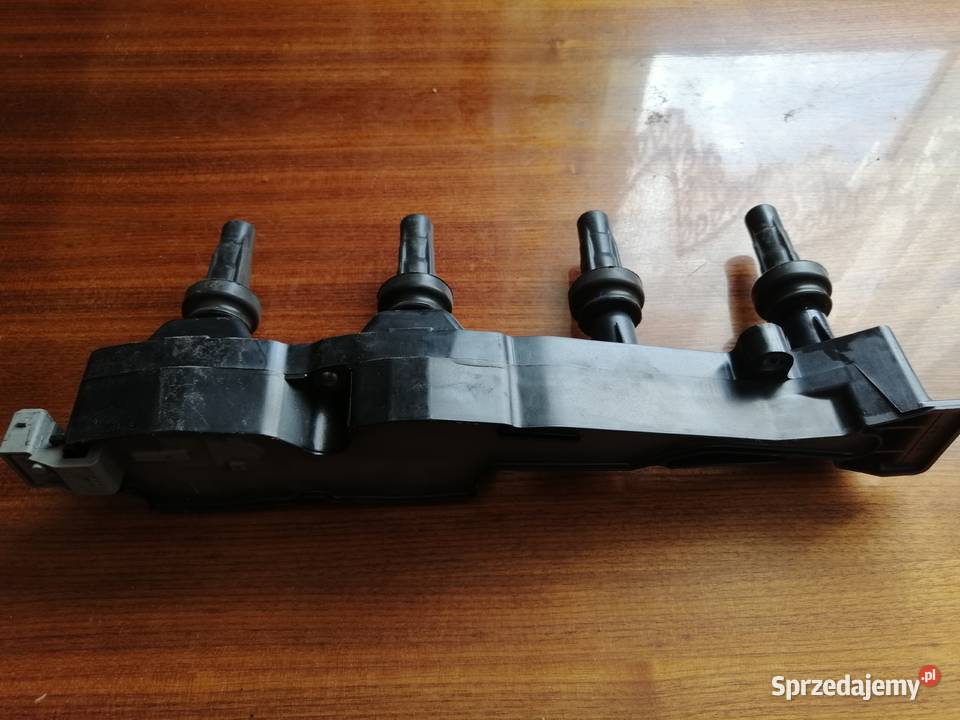 Peugeot Citroen Cewka Zaplonowa Kłodawa