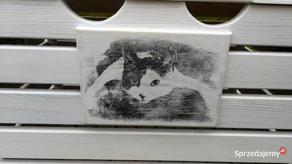 Skrzynia na zabawki kufer na akcesoria kota Radków