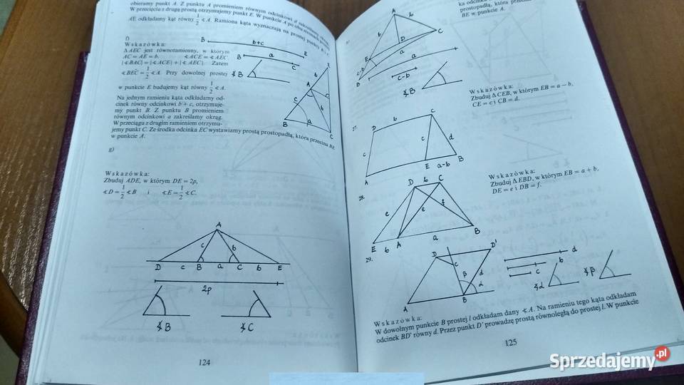 I ty zostaniesz Euklidesem Materiały do Podręczniki pomorskie sprzedam