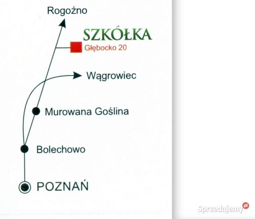 ChoinkiGłębocko 20 gm Murowana GoślinaWLKP