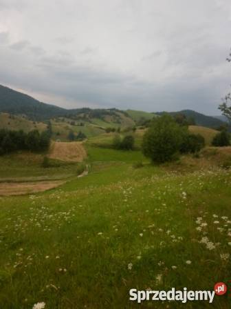 Sprzedam działkę w górach Milik sprzedam