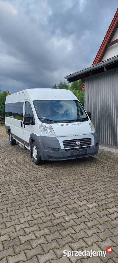 Fiat Ducato Minibus Maxi 30 Multijet nieuszkodzony Morąg