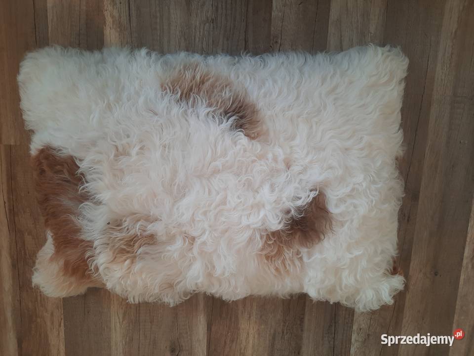 Poduszka Dekoracyjna Skóra Owcza Tybetańska małopolskie Szaflary sprzedam