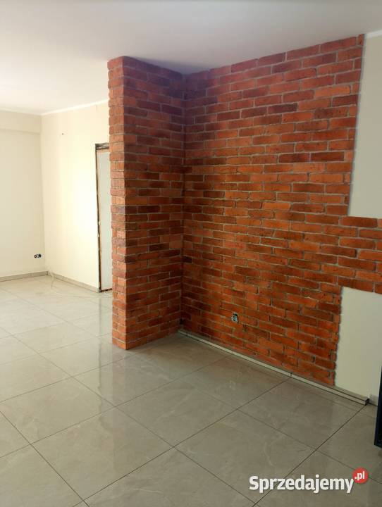 Wynajem minikoparki usługi remontowe Września