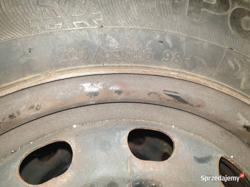 Felgi stalowe Dacia Atlas Polarbear1 21565r16 Dobre Miasto